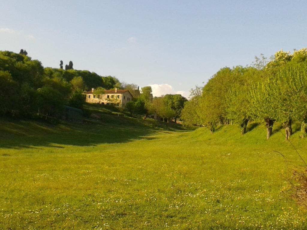 Casale La Rocchetta Bed and Breakfast Lonigo Exterior foto